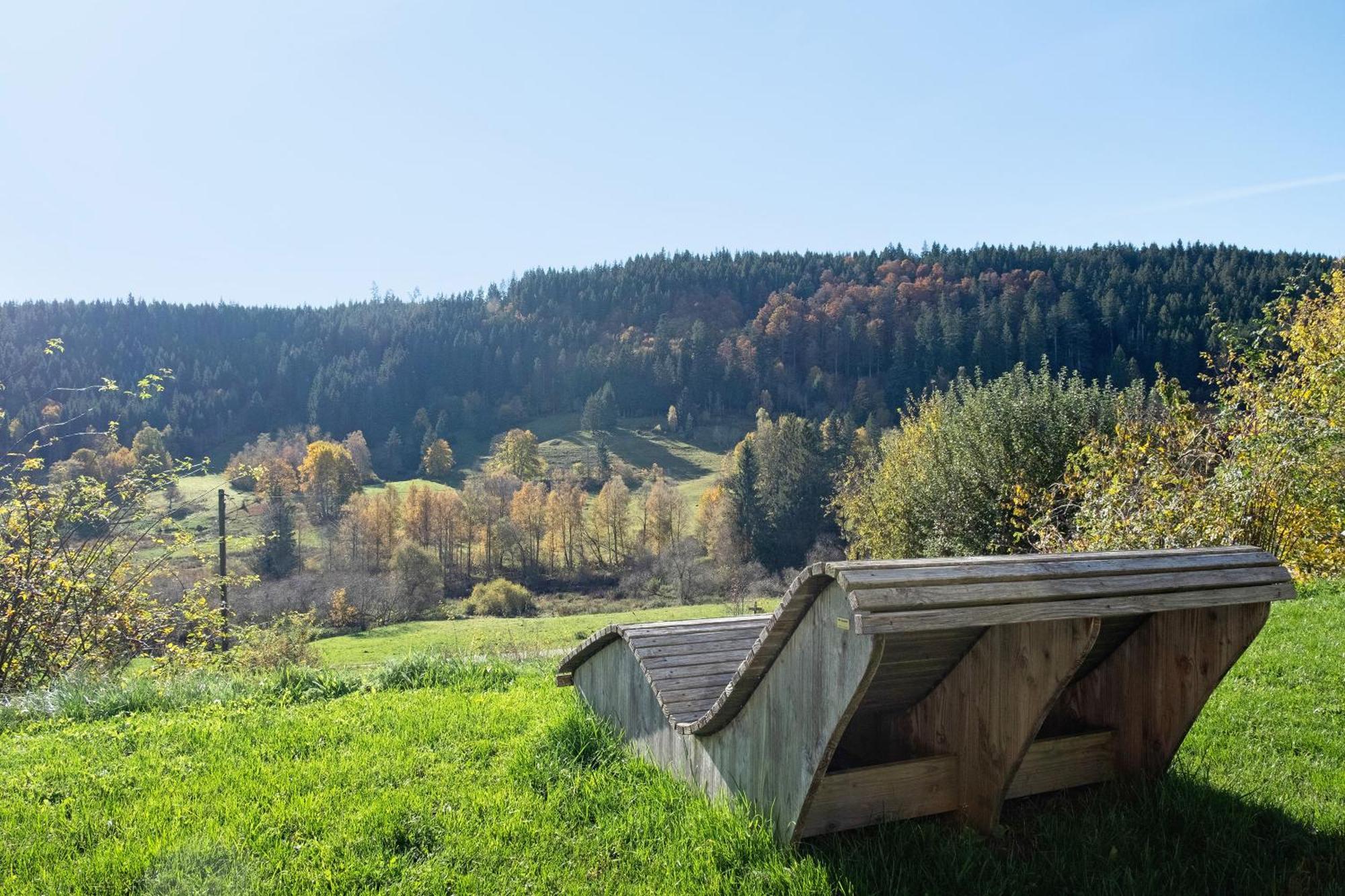 Ferienhaus Schwarzwaldchalet Holzperle *