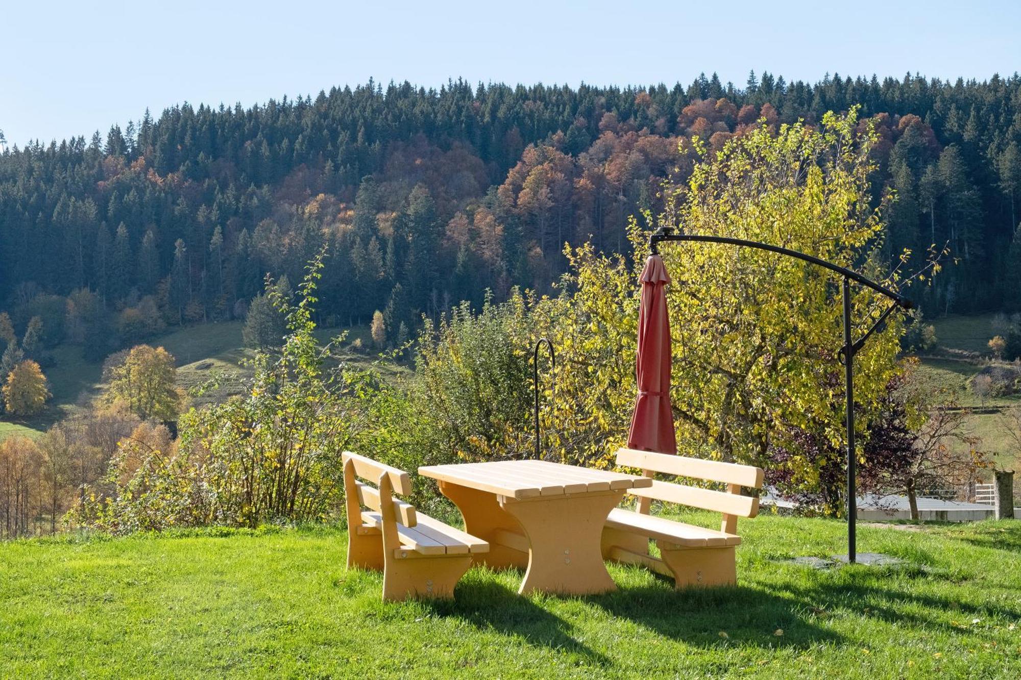 Schwarzwaldchalet Holzperle * Lenzkirch